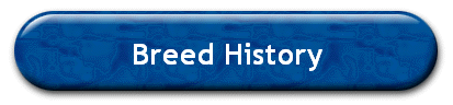 Breed History banner